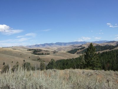 g1/23/553523/3/103449665.D1BCdNd8.jpg