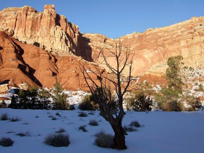 CapitolReef-0200.jpg