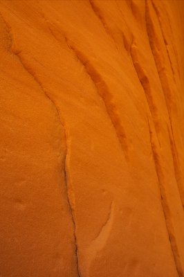 CanyonX