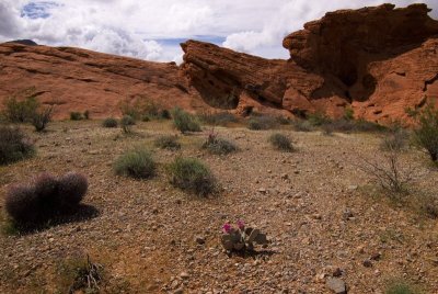 ValleyofFire-210.jpg