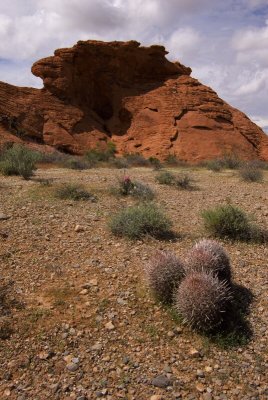 ValleyofFire-230.jpg