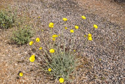 ValleyofFire-290.jpg