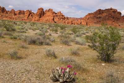 ValleyofFire-370.jpg