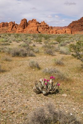 ValleyofFire-380.jpg