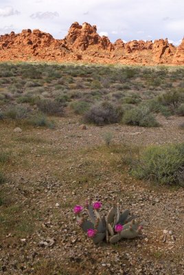 ValleyofFire-400.jpg