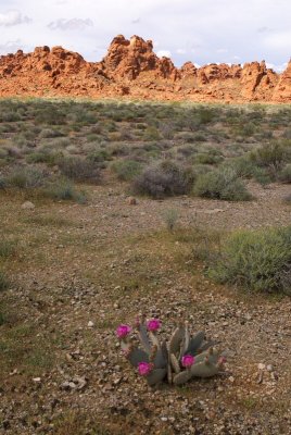 ValleyofFire-400.jpg