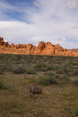 ValleyofFire-410.jpg