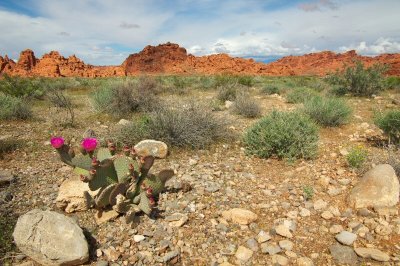 ValleyofFire-60.jpg