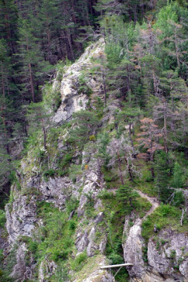 DSCF2807_edited-1.jpg