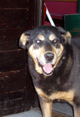 P6120816_edited-2.jpg