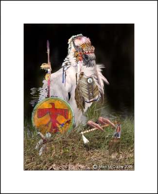Chief Sitting Stork MM.jpg