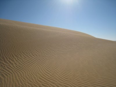 g1/23/577723/3/93248967.n65iedPS.jpg
