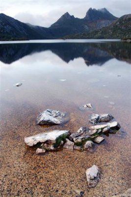 Dove Lake just after dawn
