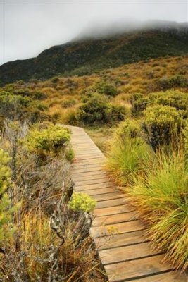 Path around Dove Lake