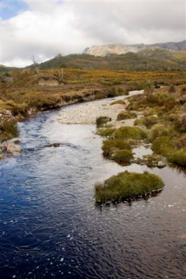 Near Kate's Hut