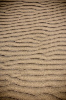 Dune art
