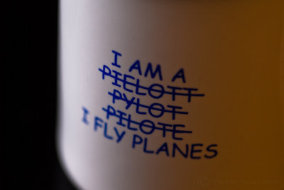 I fly planes!