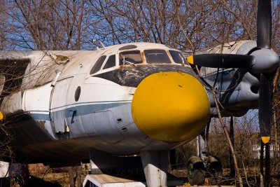 Antonov 24