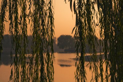 Hou Hai lake