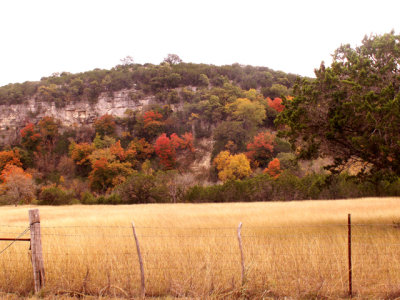 11-3-08Z6 Texas Hillcountry 10.jpg