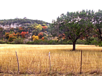 11-3-08Z6 Texas Hillcountry 11.jpg