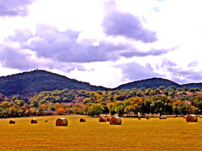 11-3-08Z6 Texas Hill  Country 17.jpg