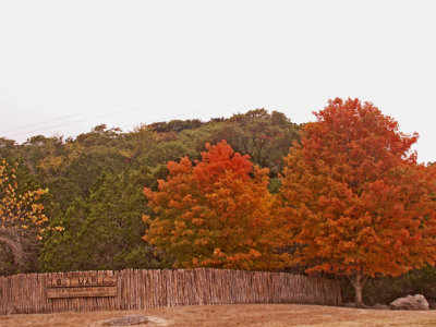 11-3-08Z6 Texas Hillcountry Lost Maples 1.jpg