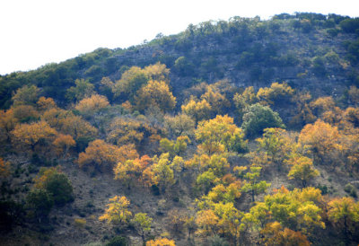 11-3-08D200 Texas Hill Country 24.jpg