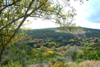 11-3-08D200 Texas Hill Country 29.jpg