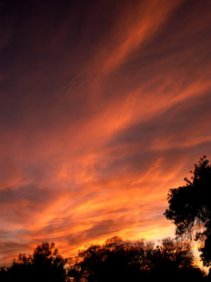 12-3-08Z6 Sunset 2.jpg