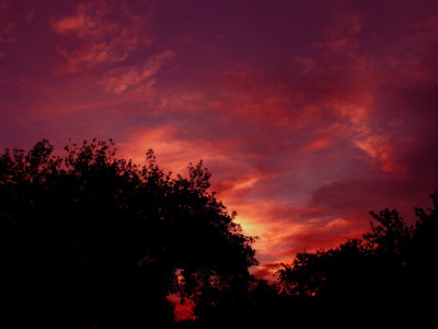 5-21-09 Sunset.jpg