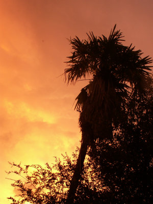 9-8-2010 Tropical Storm Sunset 1.jpg