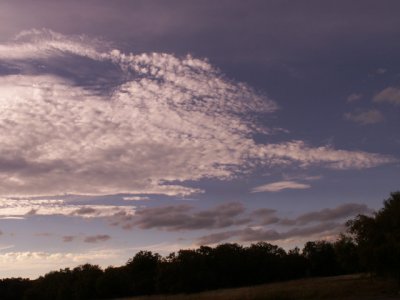 11-9-2010 Reclining Oryx Cloud.jpg