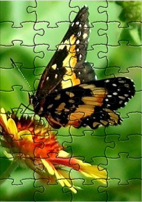 jigsaw butterfly.jpg
