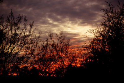Sunset Color 2.jpg