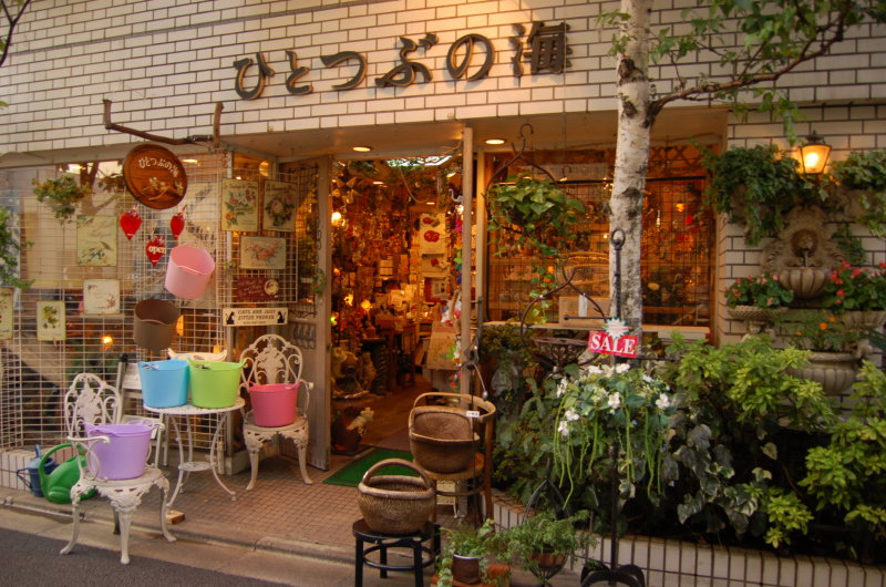 shop