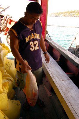 nahuling isada