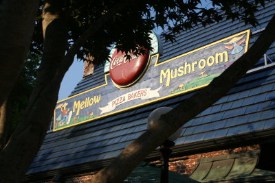 mellow mushroom asheville