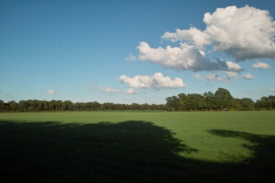 Luscious green