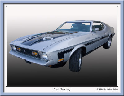 Mustang 1960s Fastback.jpg