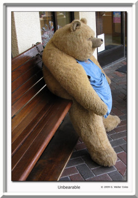 Bear On Bench HB.jpg