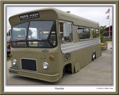 Flexible Bus.jpg
