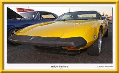 Pantera Yellow F.jpg