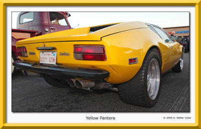 Pantera Yellow R.jpg