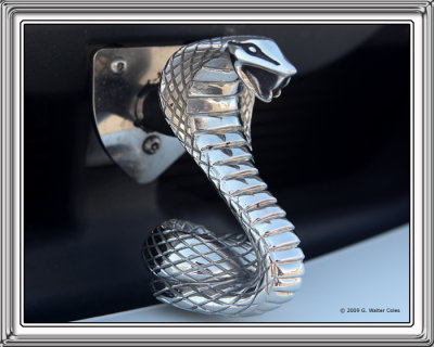 Mustang 2000s Cobra Emblem.jpg