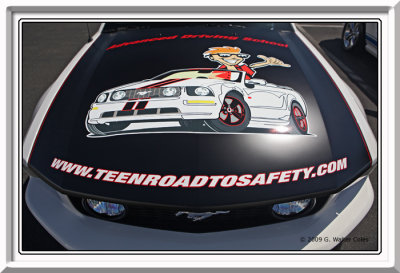 Mustang 2000s Driving School.jpg