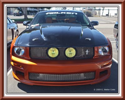Mustang 2000s Falken Custom G.jpg
