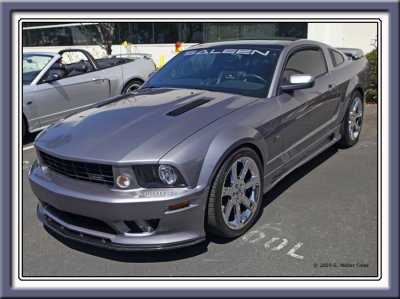 Mustang 2000s Grey Saleen F.jpg