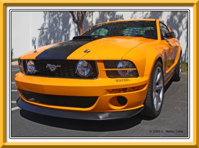 Mustang 2000s Yellow Black Custom F.jpg