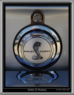 Mustang 1960s Shelby Emblem.jpg